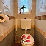 Napfeny Vendeghaz Pensiune Győr